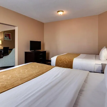 Comfort Suites Houston West At Clay Road-3